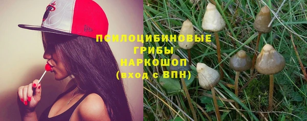 каннабис Аркадак