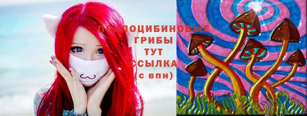 каннабис Аркадак
