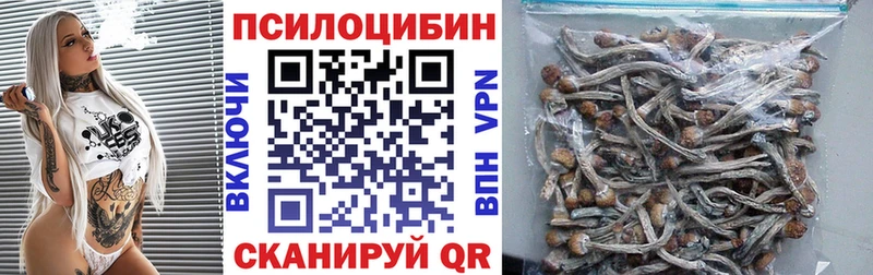 Галлюциногенные грибы Cubensis Пролетарск